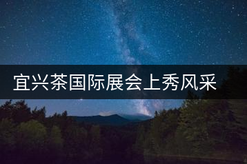 宜興茶國際展會上秀風(fēng)采宜興茶國際展會上秀風(fēng)采