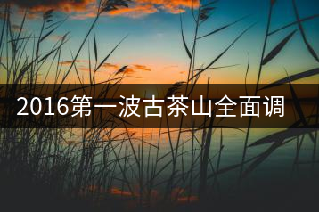 2016第一波古茶山全面調(diào)研第四站——臨滄·大雪山、小戶賽