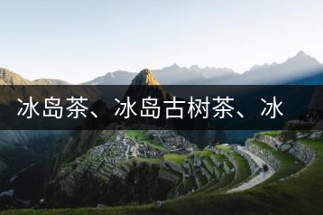 冰島茶、冰島古樹茶、冰島茶區(qū)茶、冰島茶區(qū)古樹茶