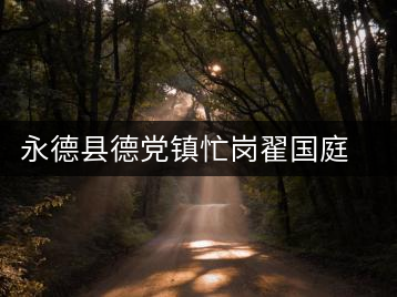 永德縣德黨鎮(zhèn)忙崗翟國庭茶