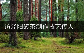 訪涇陽(yáng)磚茶制作技藝傳人、陜西省非遺傳承人賈根社
