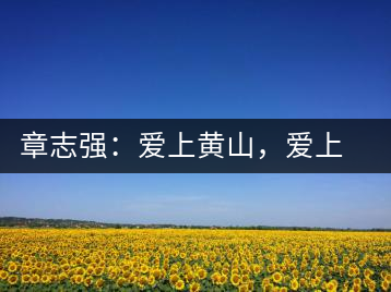 章志強：愛上黃山，愛上黃山的茶