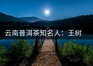 云南普洱茶知名人：王樹(shù)文