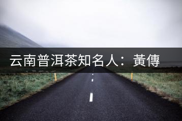 云南普洱茶知名人：黃傳芳