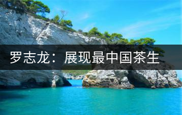 羅志龍：展現(xiàn)最中國茶生活