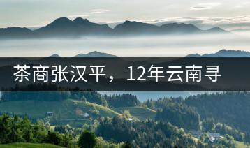 茶商張漢平，12年云南尋茶路