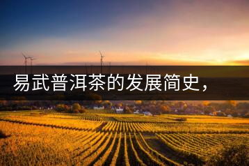 易武普洱茶的發(fā)展簡史，昔日的貢茶如今依然輝煌