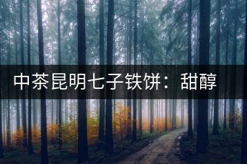 中茶昆明七子鐵餅：甜醇甘潤，陳韻綿長