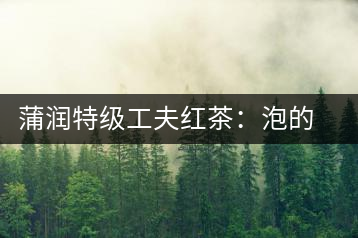 蒲潤(rùn)特級(jí)工夫紅茶：泡的方便，喝的舒適