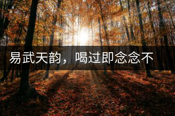 易武天韻，喝過即念念不忘的茶中皇后