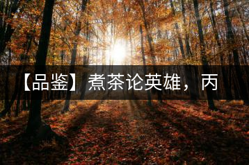 【品鑒】煮茶論英雄，丙申年易武麻黑