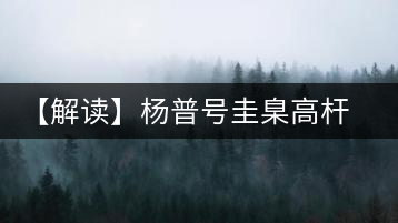 【解讀】楊普號(hào)圭臬高桿茶：形高、氣足、韻遠(yuǎn)的一款茶