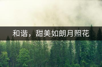 和諧，甜美如朗月照花