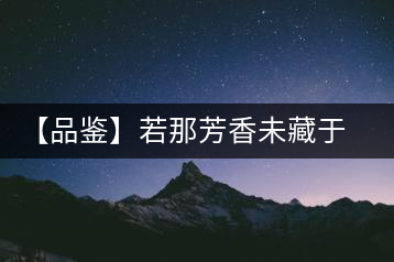 【品鑒】若那芳香未藏于樟野，怎會這般獨具韻味？