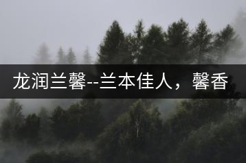 龍潤蘭馨–蘭本佳人，馨香高雅