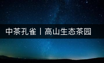 中茶孔雀丨高山生態(tài)茶園的仙境氣息