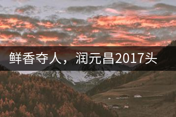 鮮香奪人，潤(rùn)元昌2017頭采小青柑即將上市