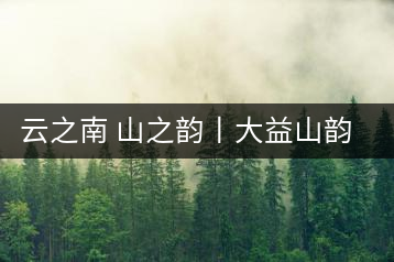 云之南 山之韻丨大益山韻，“韻”味傳奇之山韻歸來