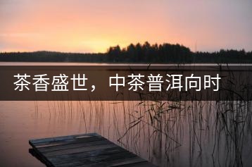 茶香盛世，中茶普洱向時(shí)代獻(xiàn)禮