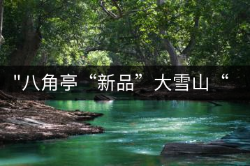 “八角亭“新品”大雪山“即將上市，期待您的品茗！