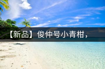 【新品】俊仲號小青柑，青果來傾城
