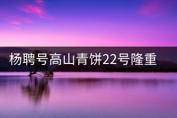 楊聘號(hào)高山青餅22號(hào)隆重上市