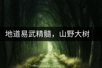 地道易武精髓，山野大樹珍品—普秀易武生態(tài)喬木圓茶即將上市
