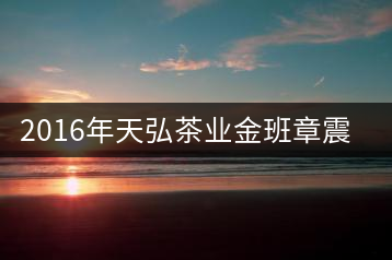 2016年天弘茶業(yè)金班章震撼上市！