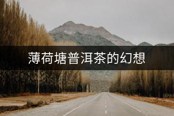 薄荷塘普洱茶的幻想