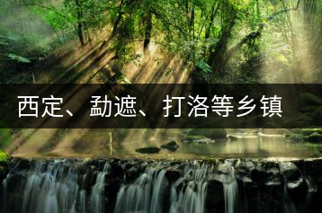 西定、勐遮、打洛等鄉(xiāng)鎮(zhèn)古茶樹資源