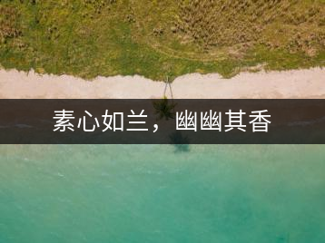 素心如蘭，幽幽其香