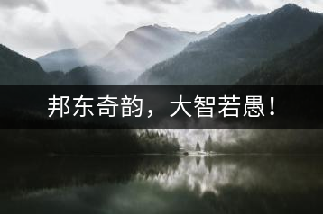 邦東奇韻，大智若愚！