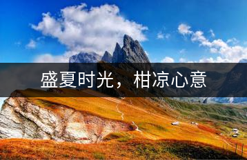 盛夏時(shí)光，柑涼心意