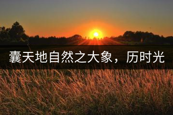 囊天地自然之大象，歷時光十載流轉(zhuǎn)-皇茶一號