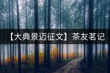 【大典景邁征文】茶友茗記在心 開湯品鑒