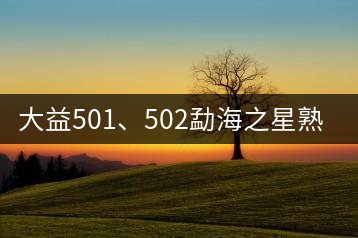 大益501、502勐海之星熟茶