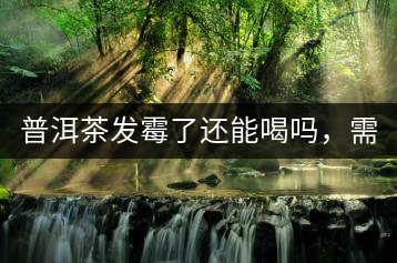 普洱茶發(fā)霉了還能喝嗎，需要怎么處理？