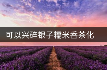 可以興碎銀子糯米香茶化石普洱茶熟茶特級(jí)易武古樹茶葉禮盒裝送禮