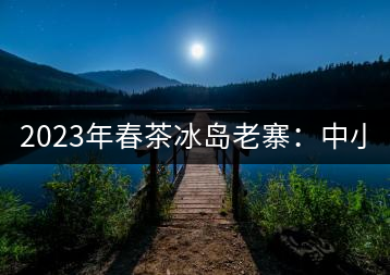 2023年春茶冰島老寨：中小樹混采2500-3000元／公斤，大樹：7000-8000元／公斤，古樹混采：28000-36000元／公斤