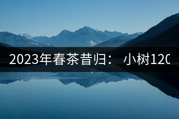2023年春茶昔歸： 小樹1200-1600元／公斤，大樹4500-5200元／公斤，古樹7500-9000元／公斤.