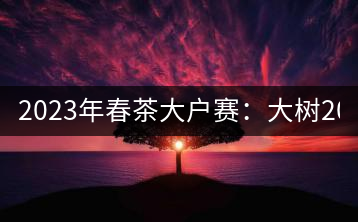 2023年春茶大戶(hù)賽：大樹(shù)200-300元／公斤，古樹(shù)800-1000元／公斤