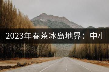 2023年春茶冰島地界：中小樹1300-1500元／公斤，古樹2200~2500元／公斤