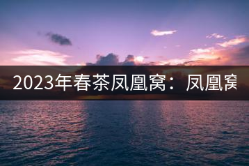 2023年春茶鳳凰窩：鳳凰窩（1號）20000-25000元／公斤；鳳凰窩（2號）2000-3000元／公斤；古樹：3000-5000元／公斤；鳳凰山混采古樹茶1000-2000元／公斤；鳳凰山精選古樹茶3000-5000元／公斤