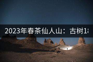 2023年春茶仙人山：古樹1800-2500元／公斤，老曼峨：小樹：600元／公斤 1600-1800元／公斤
