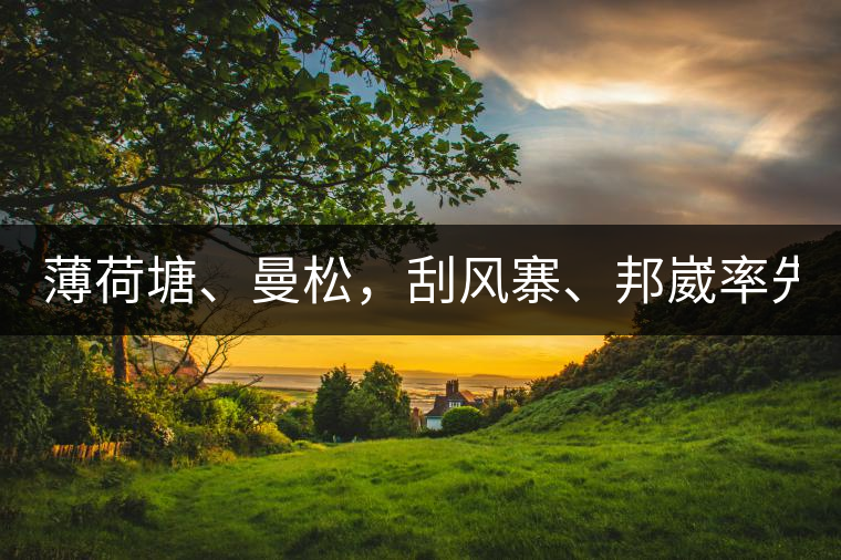 薄荷塘、曼松，刮風(fēng)寨、邦崴率先開(kāi)采，2019普洱春季大戰(zhàn)開(kāi)始了