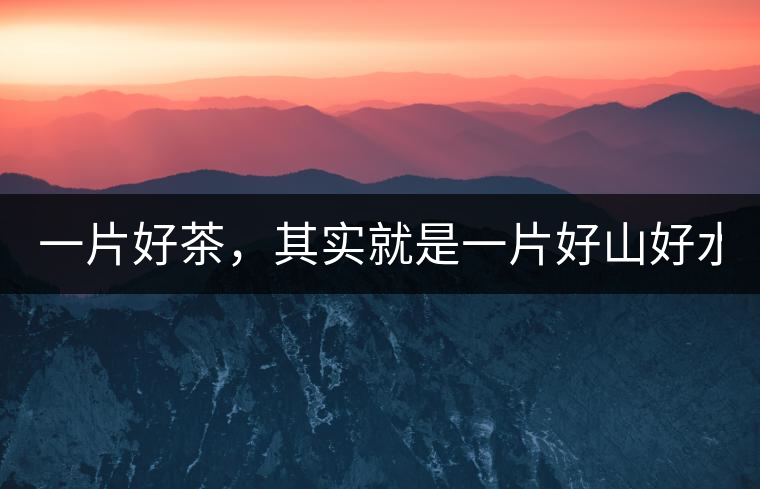 一片好茶，其實(shí)就是一片好山好水...一片好茶，其實(shí)就是一片好山好水...