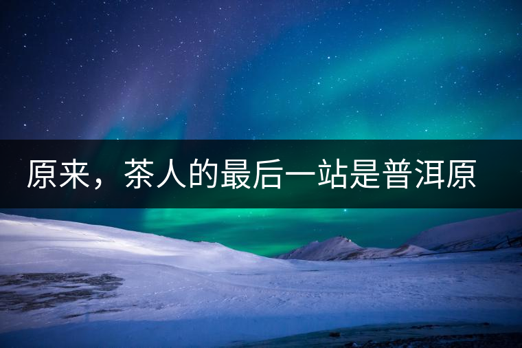 原來，茶人的最后一站是普洱原來，茶人的最后一站是普洱