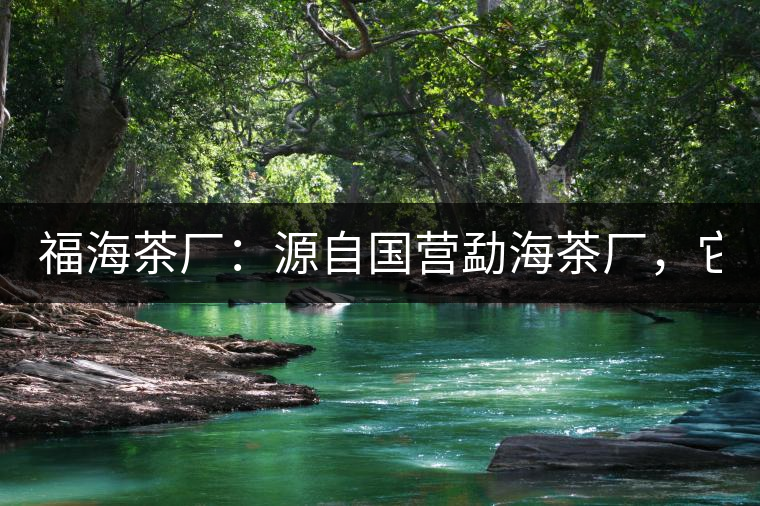 福海茶廠：源自國營勐海茶廠，它是99易武綠星星之母