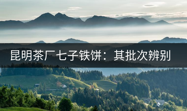 昆明茶廠七子鐵餅：其批次辨別、配方、年份大盤點！