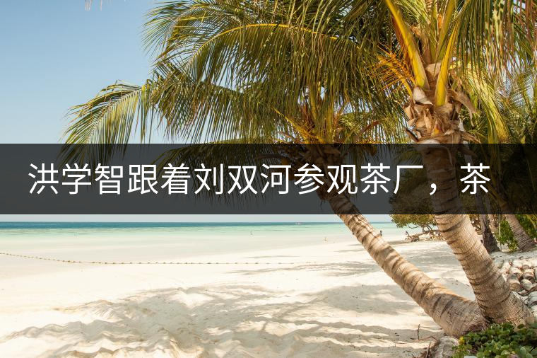 洪學(xué)智跟著劉雙河參觀茶廠，茶廠黃老板對賣苦力的百姓百般欺凌